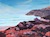 Big Sur Coast -by Darlene Boyd