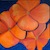 CA poppies1 -by Darlene Boyd
