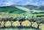  Christopher Ranch -by Darlene Boyd