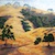 Morgan Hill Hills -by Darlene Boyd
