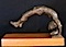 Acrobat -by Darlene Boyd