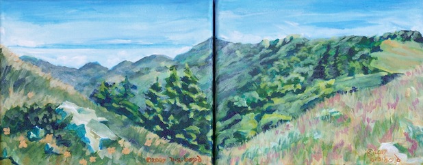 Big Sur Ridged Diptych
